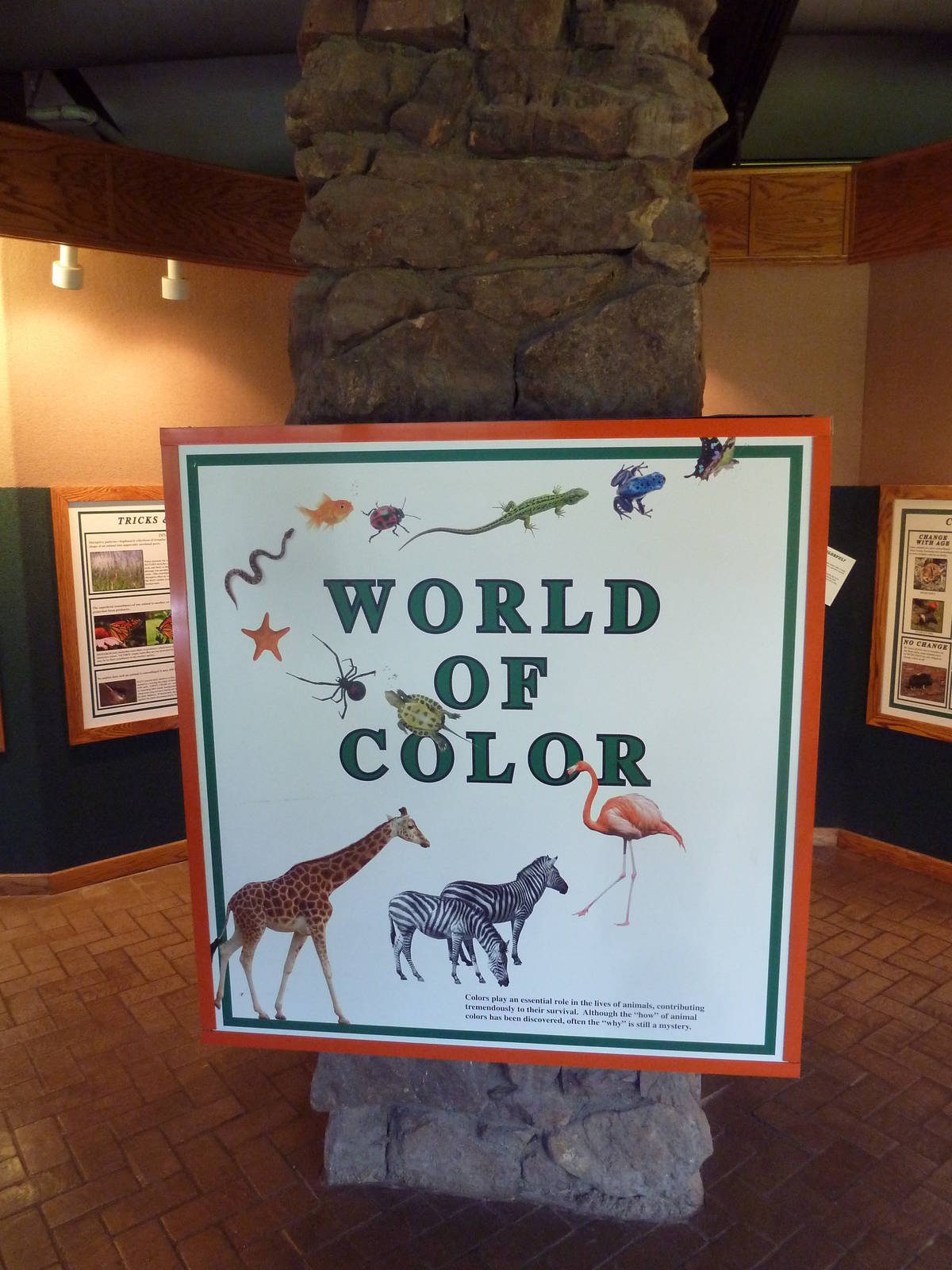 Reptile House - World of Color Sign