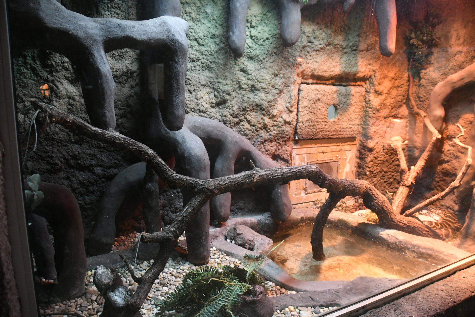 Reptile House (Yellow Anaconda exhibit)