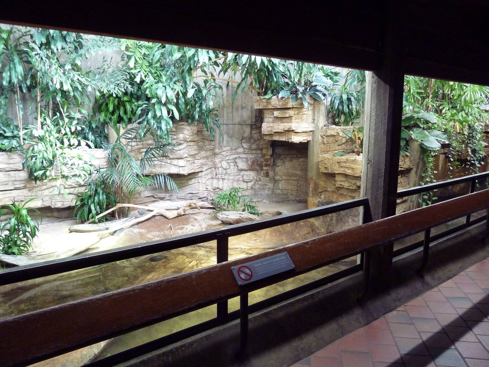 Reptile House - Yellow-Spotted Side-Necked Turtle Exhibit