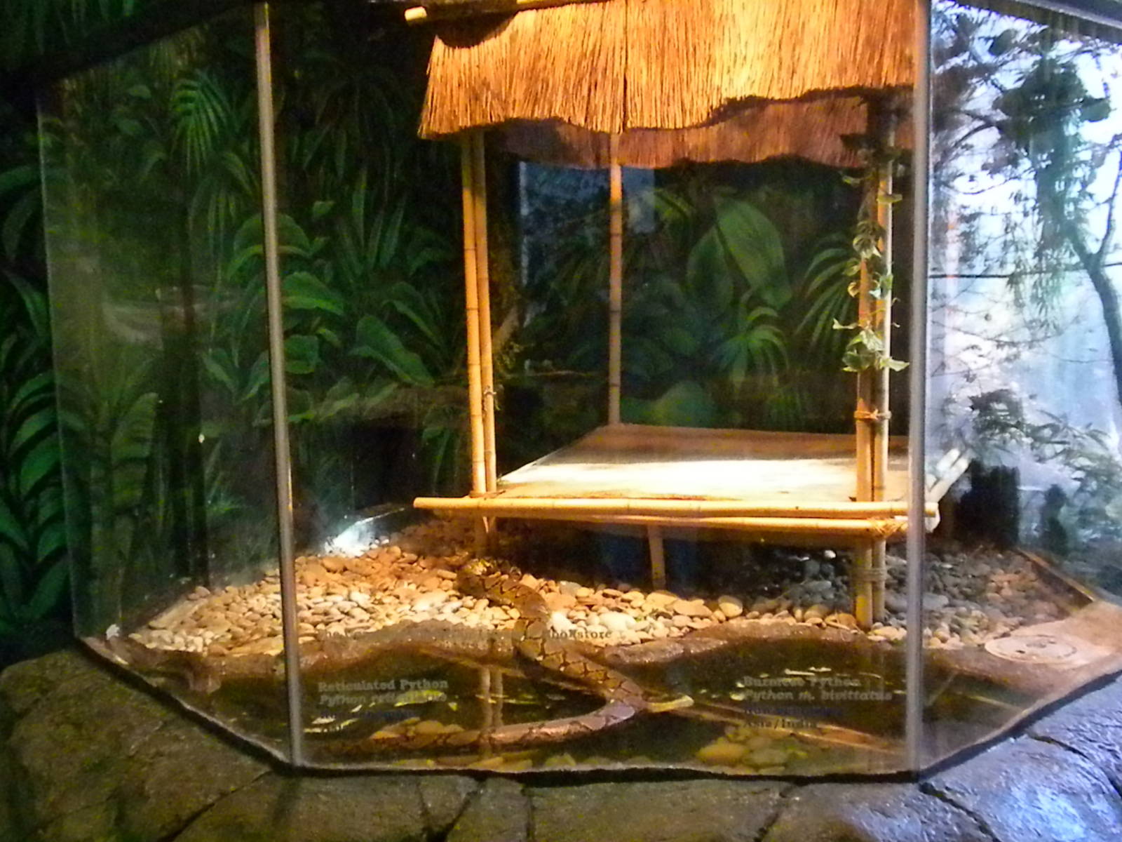 Reptile House