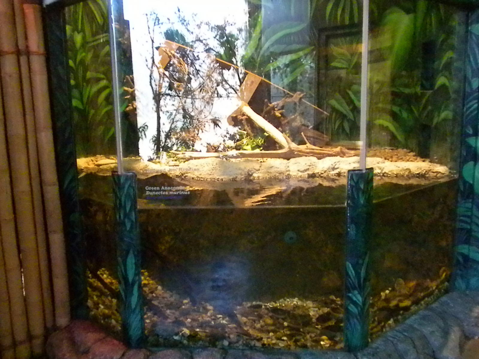 Reptile House