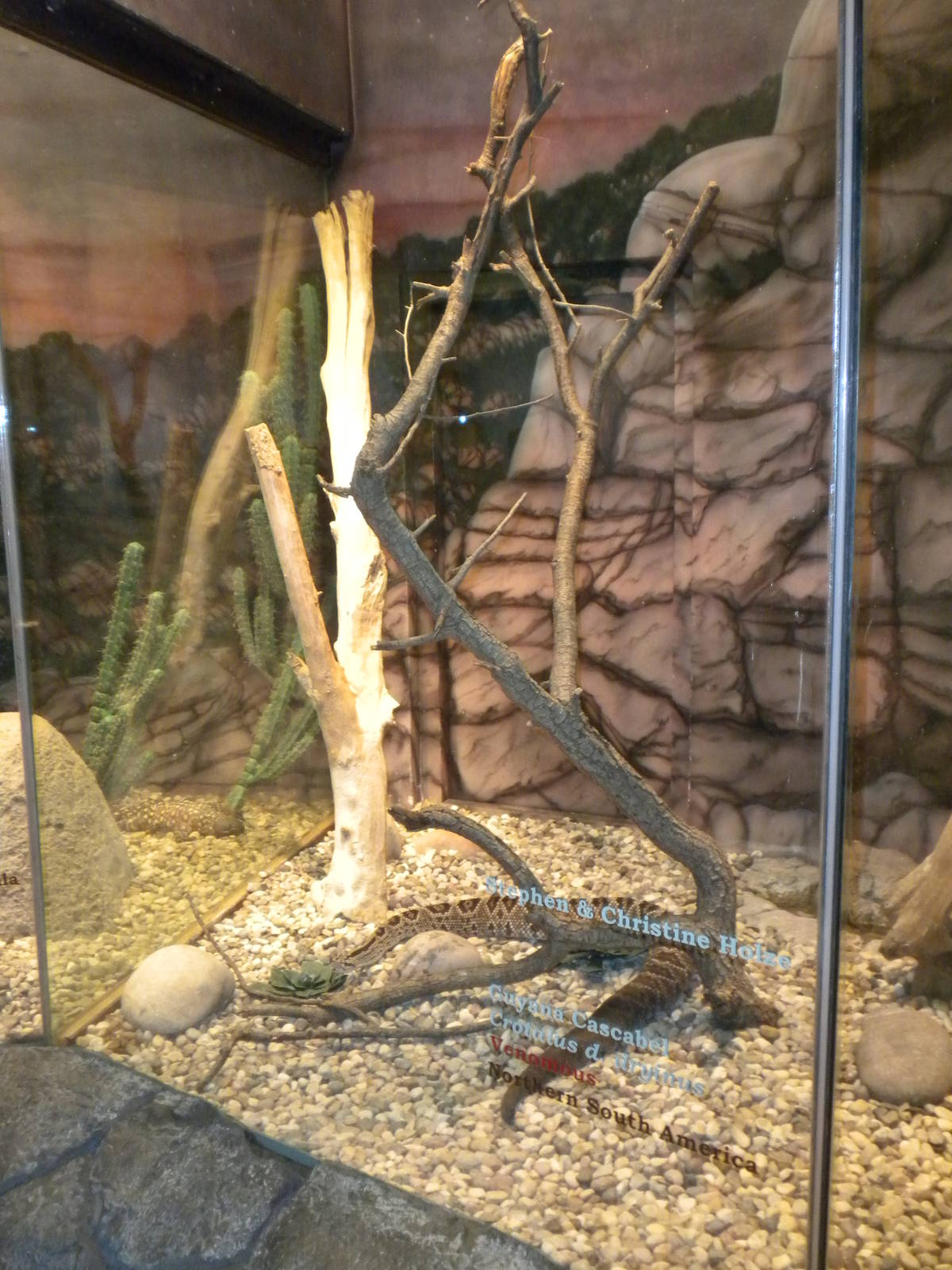 Reptile House