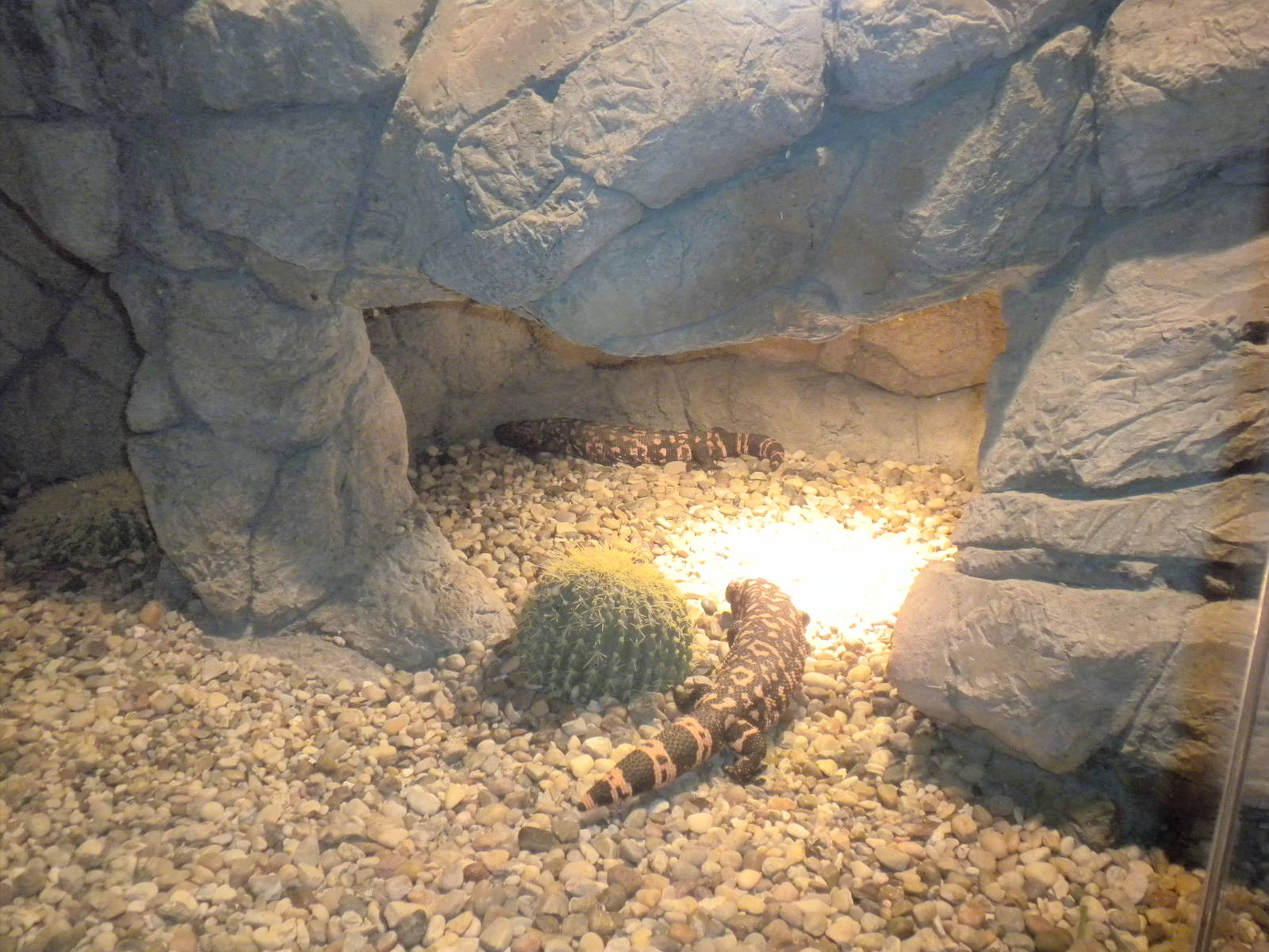 Reptile House