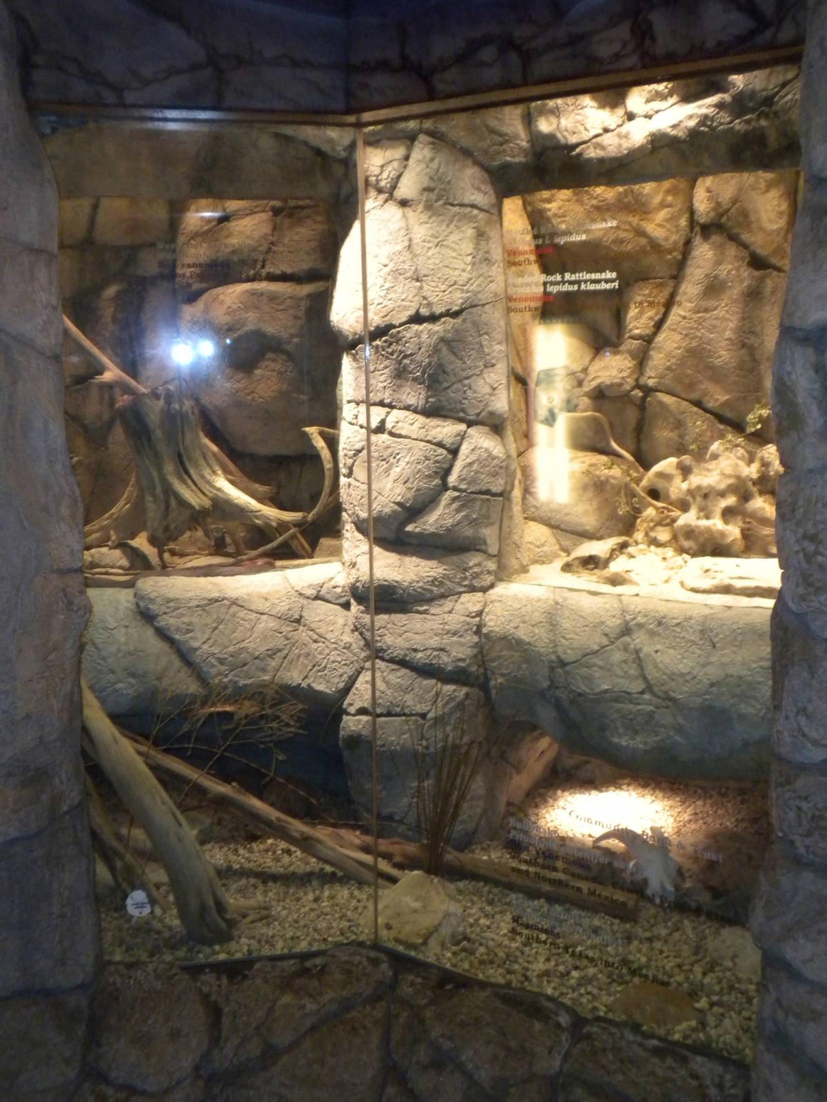 Reptile House