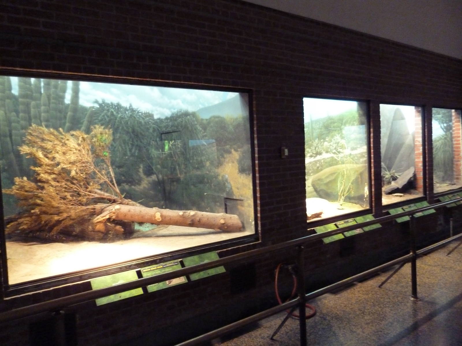 Reptile House