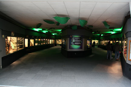 reptile house