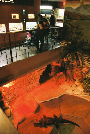 reptile house