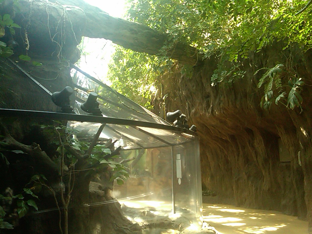 Reptile House