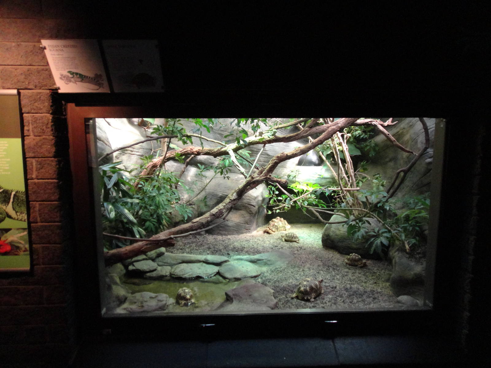 Reptile House