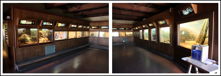 reptile house