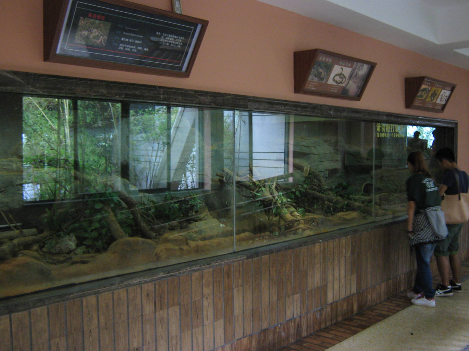 Reptile House