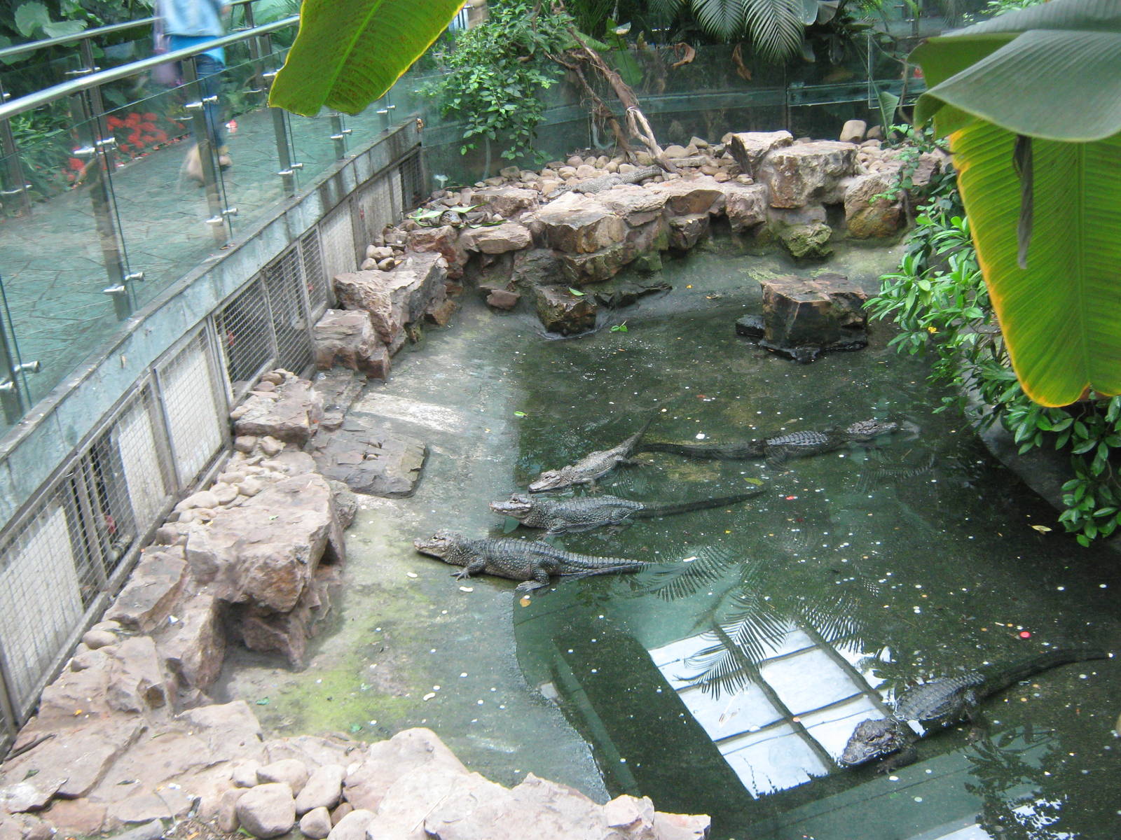 Reptile House