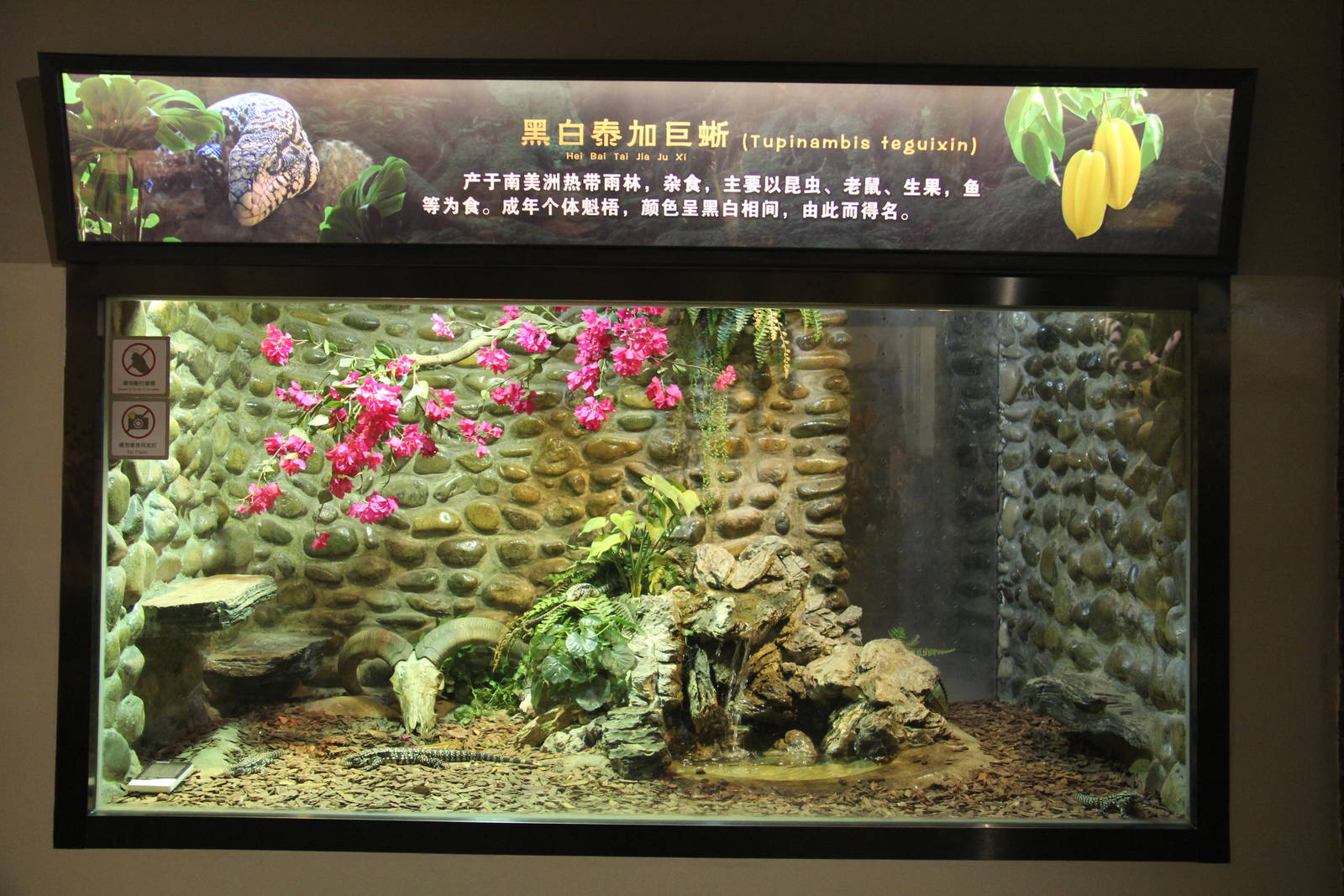 Reptile house