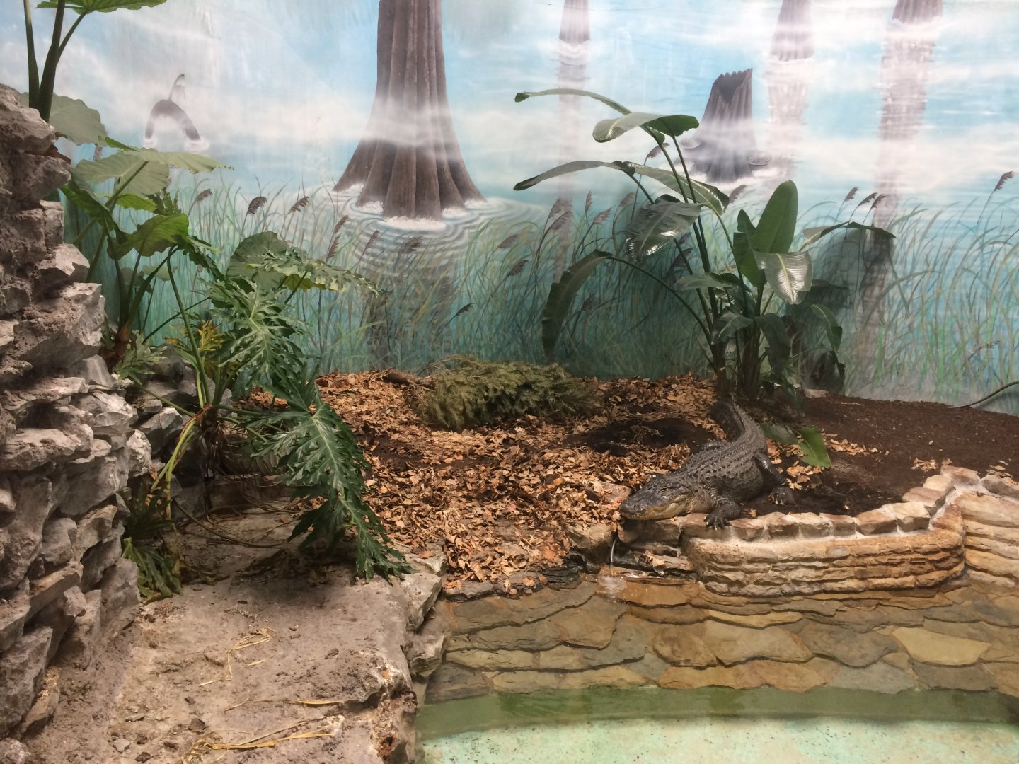 Reptile House
