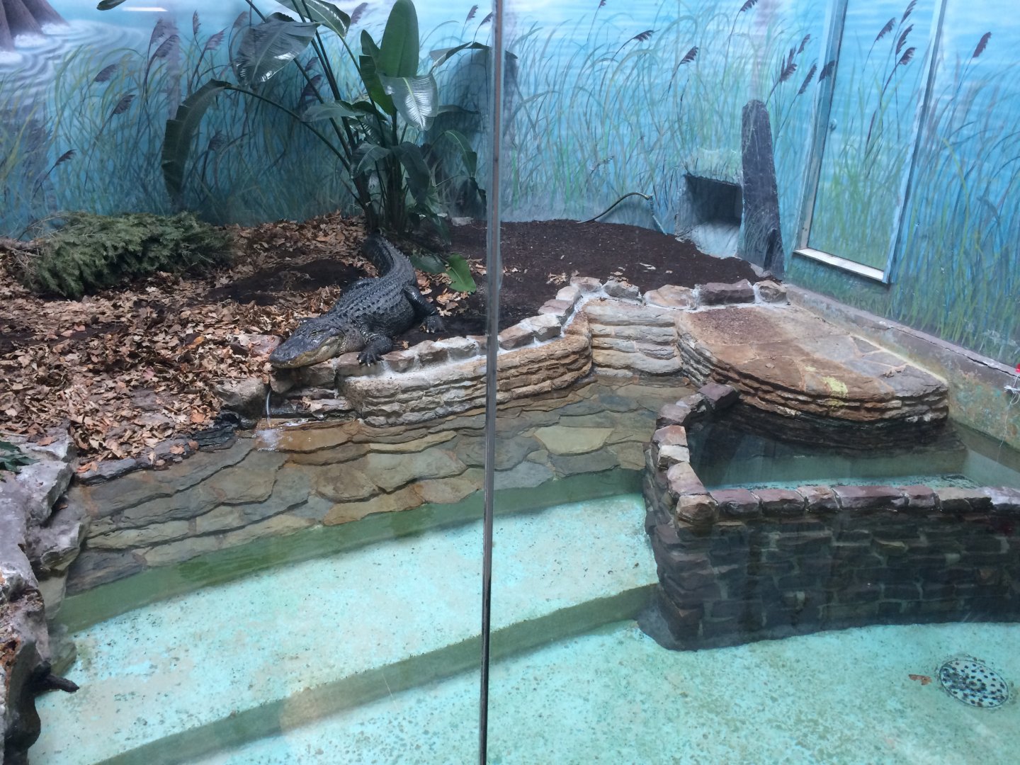 Reptile House