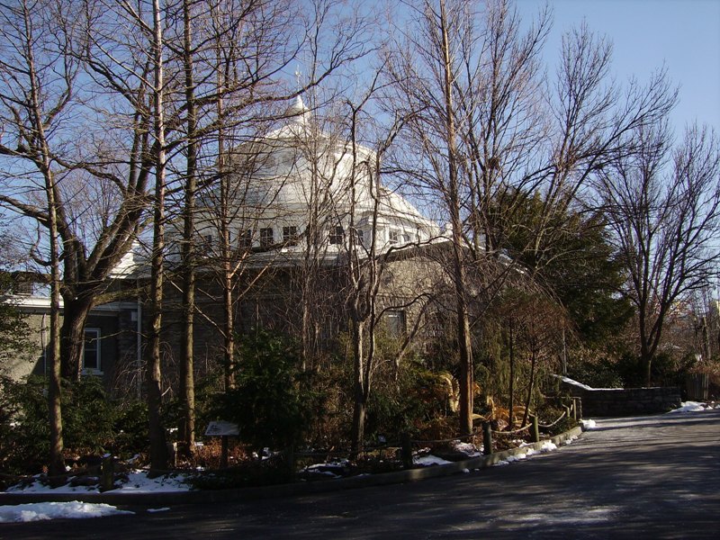 Reptile House