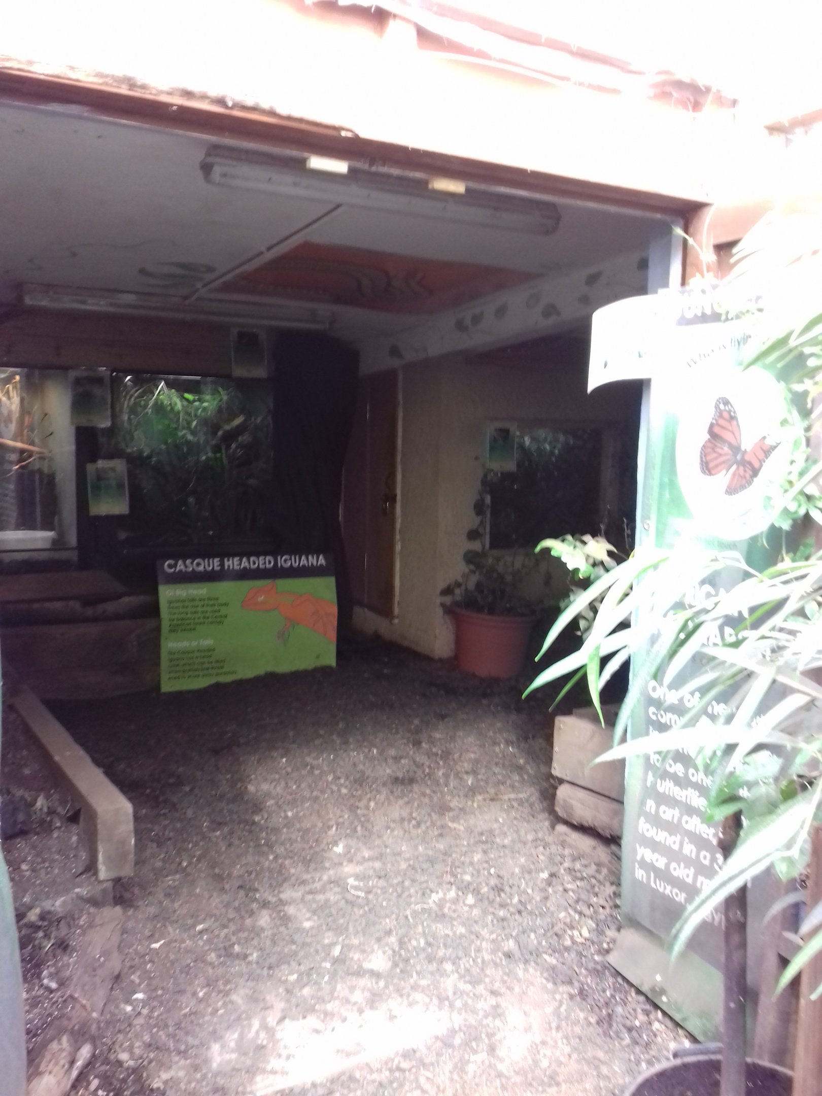 Reptile house