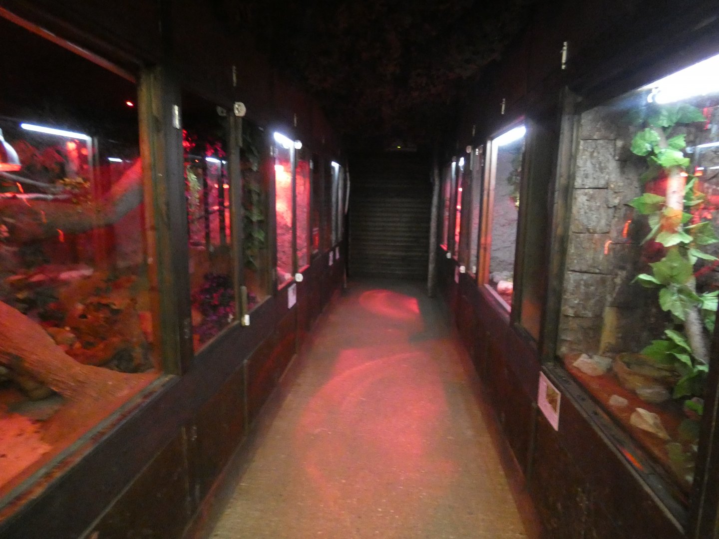 Reptile house