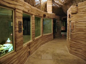 reptile house