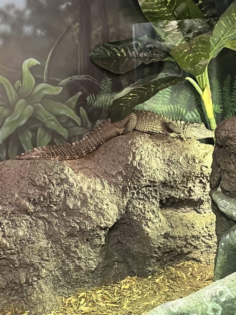 Reptile House
