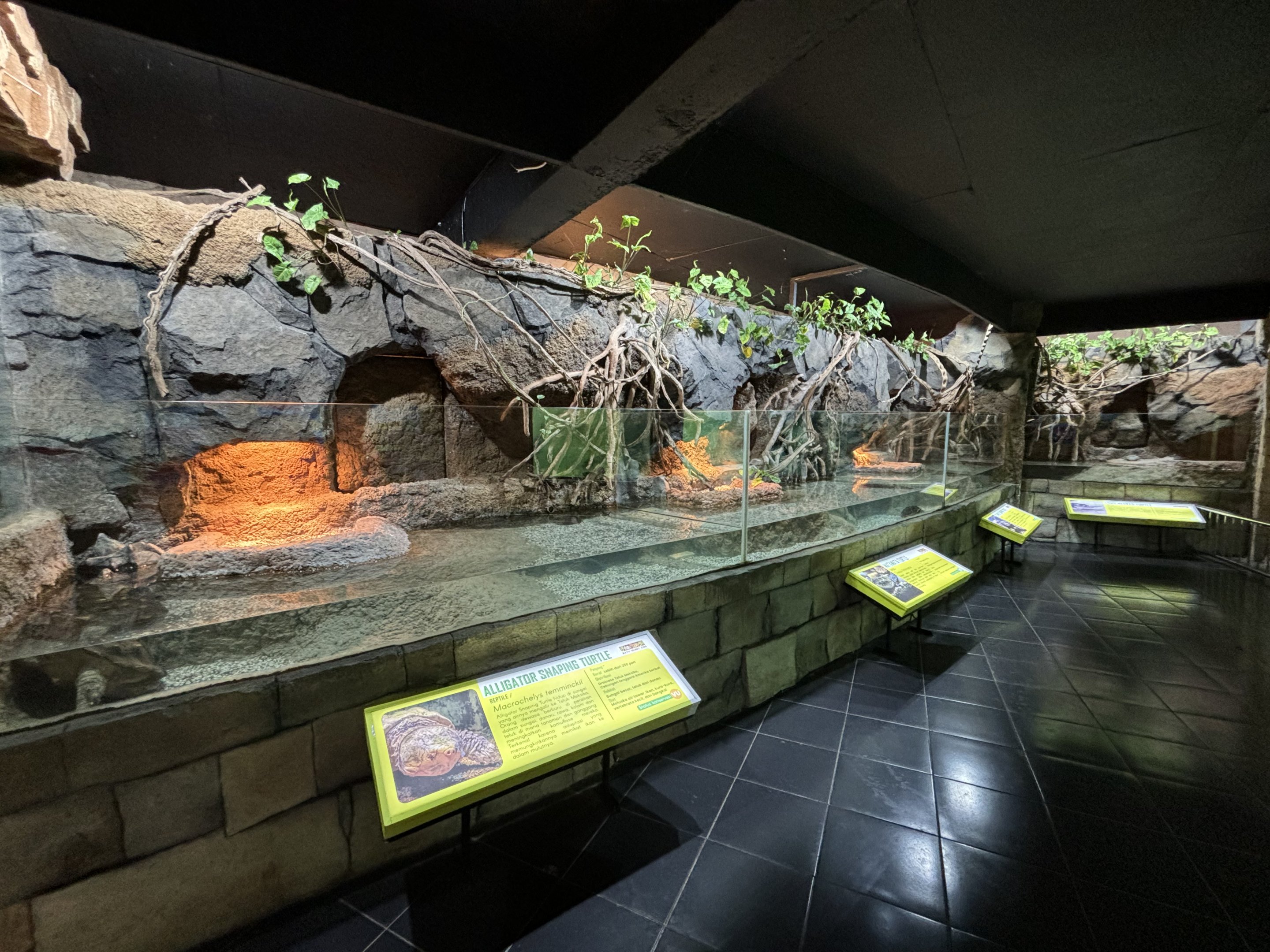 Reptile House