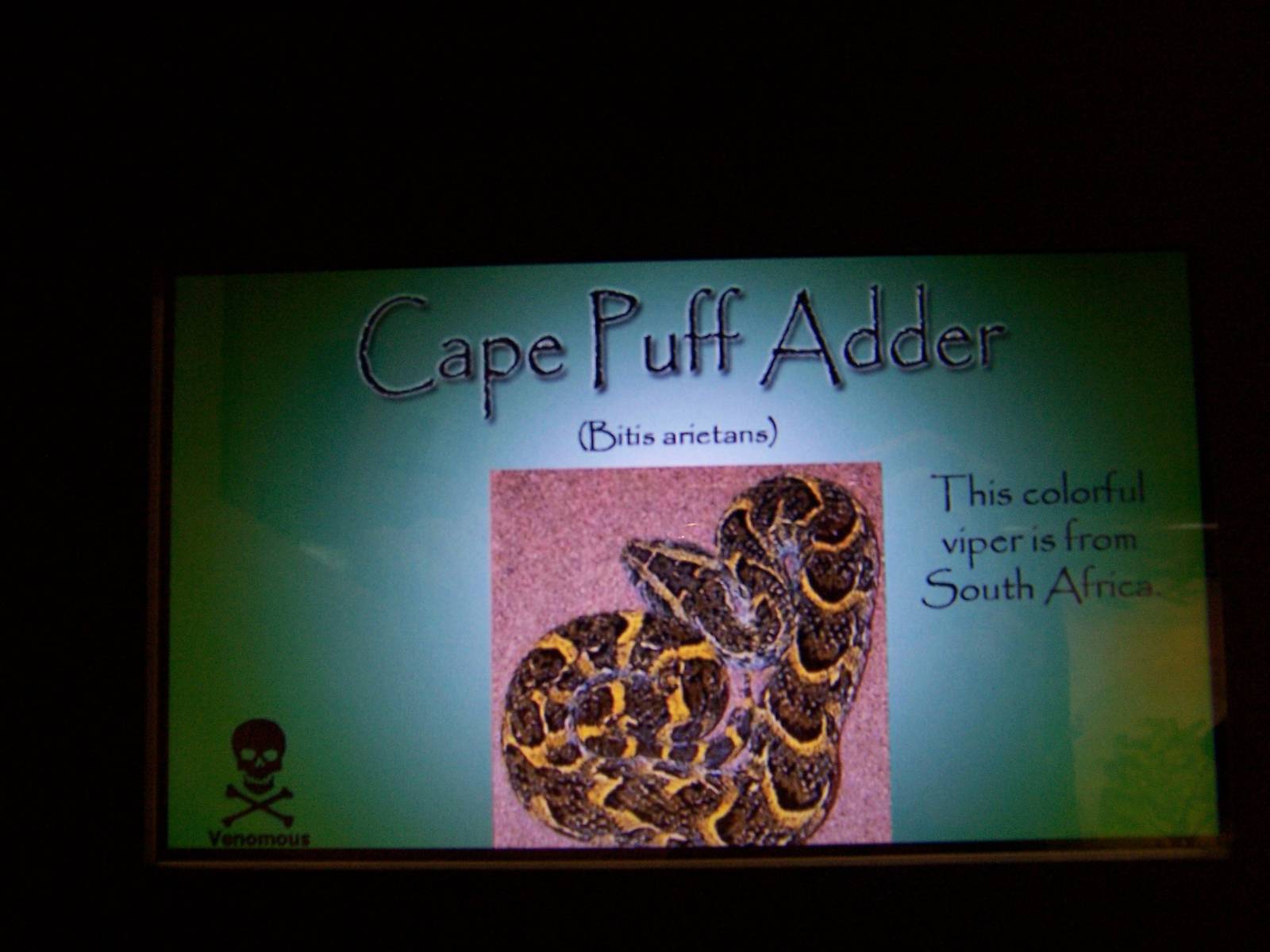 Reptile House
