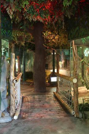 Reptile housee interior - Feb 2012