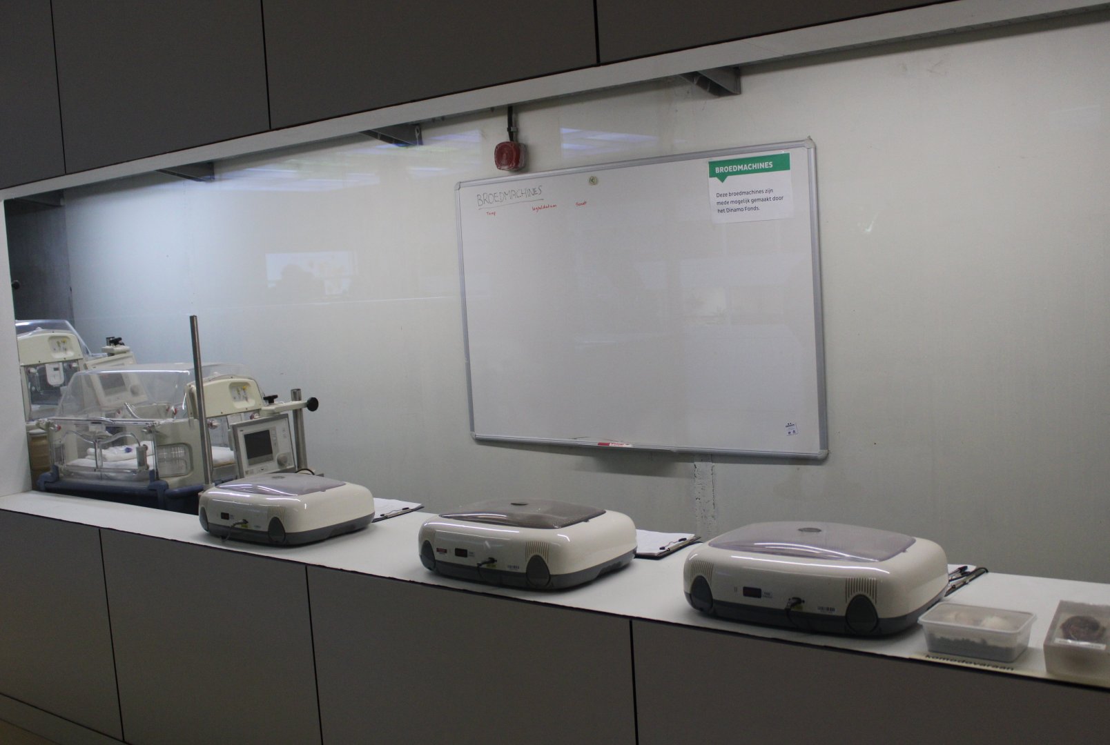 Reptile incubation room