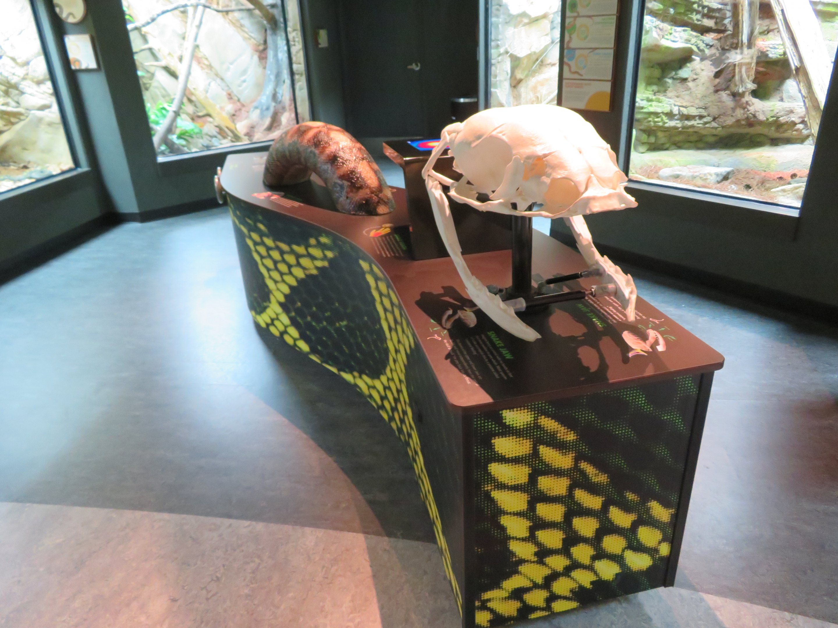 Reptile Interactive Display