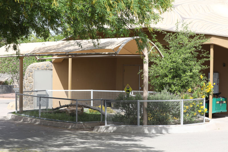 reptile keeper demonstration area