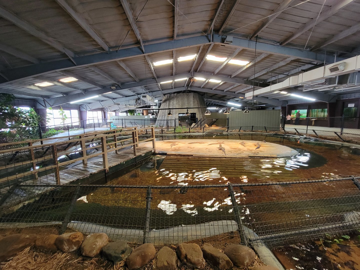 Reptile Lagoon, SOTB - American alligators