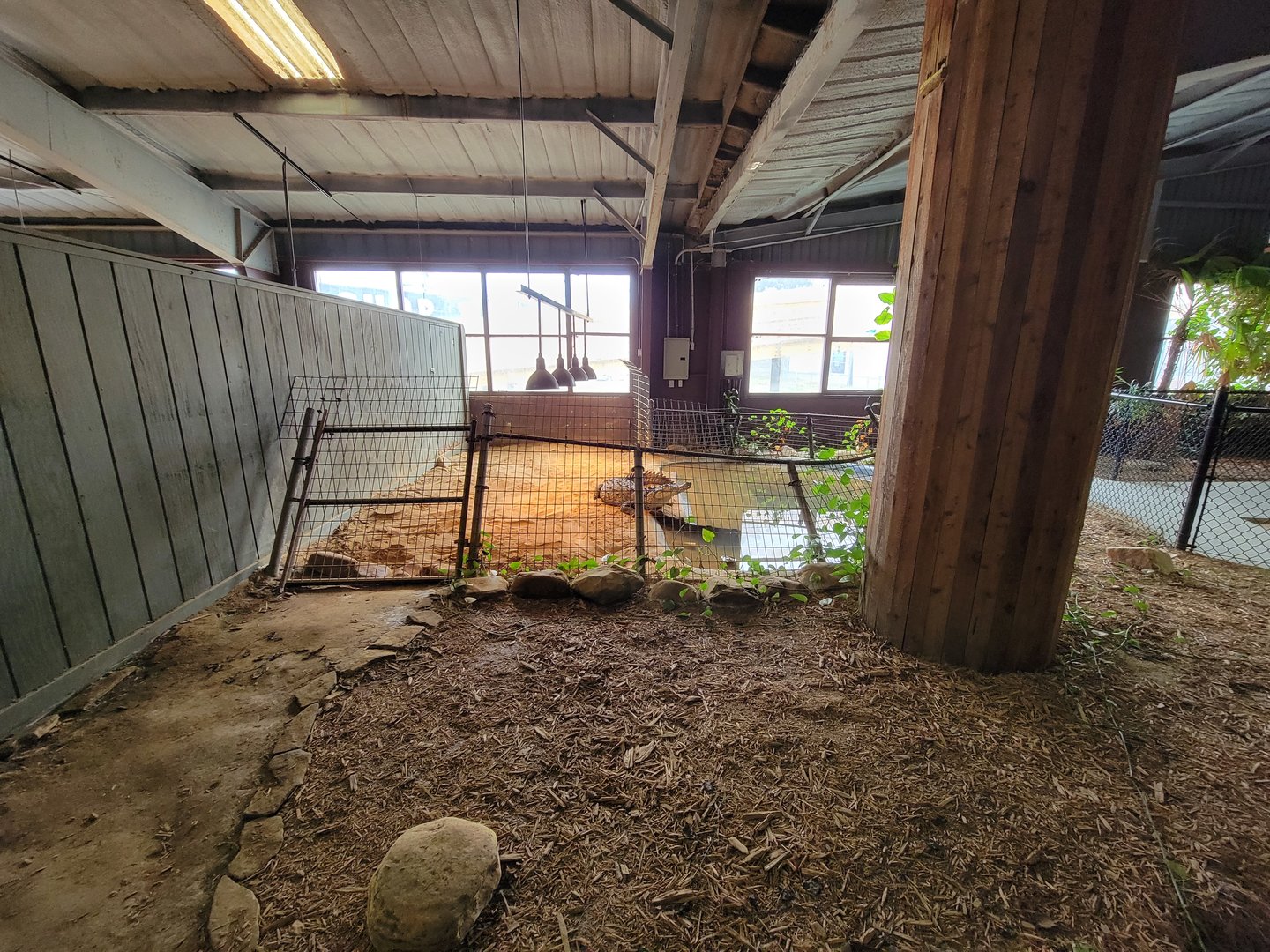 Reptile Lagoon, SOTB - American crocodile