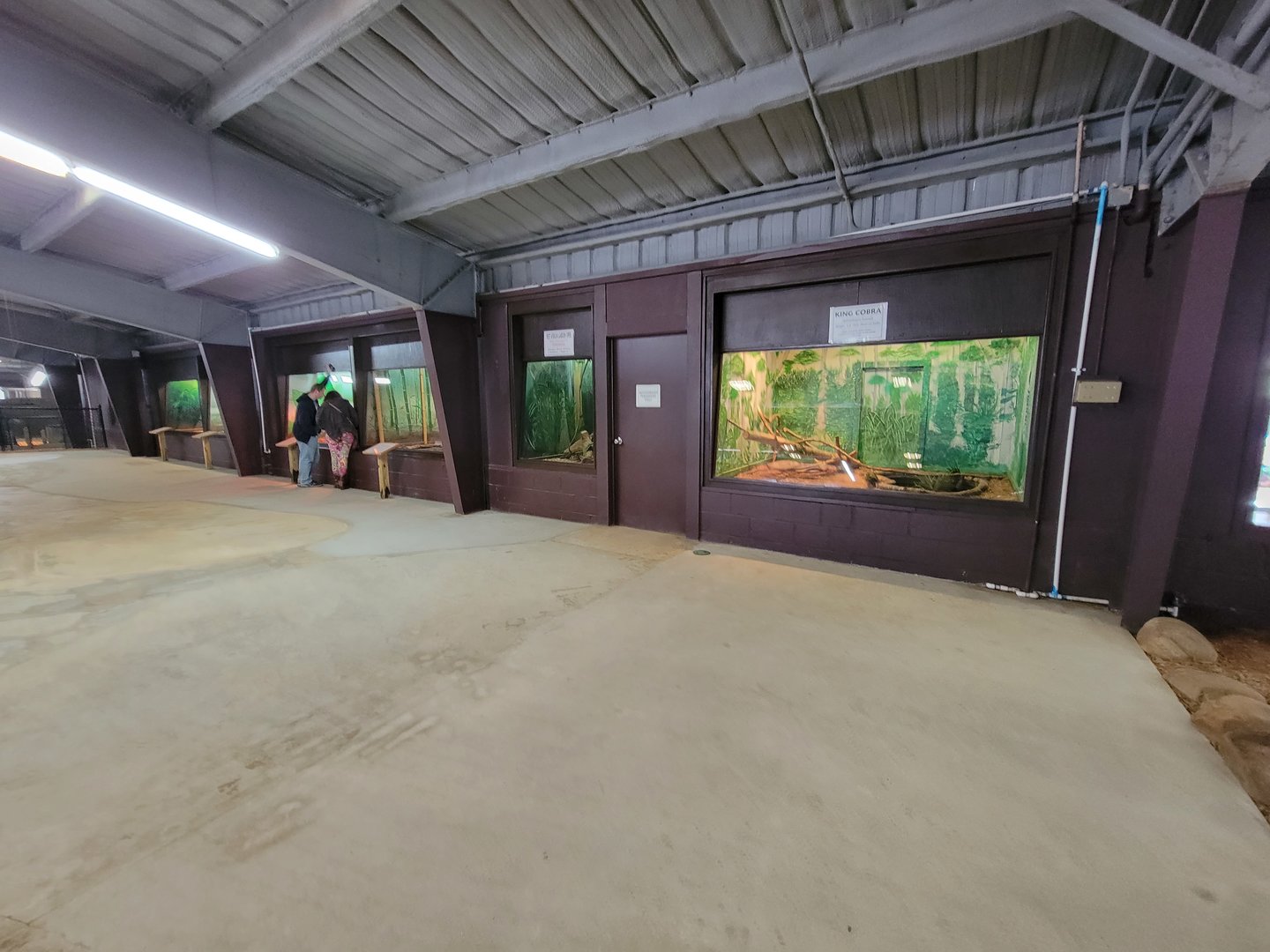 Reptile Lagoon, SOTB - Big snakes