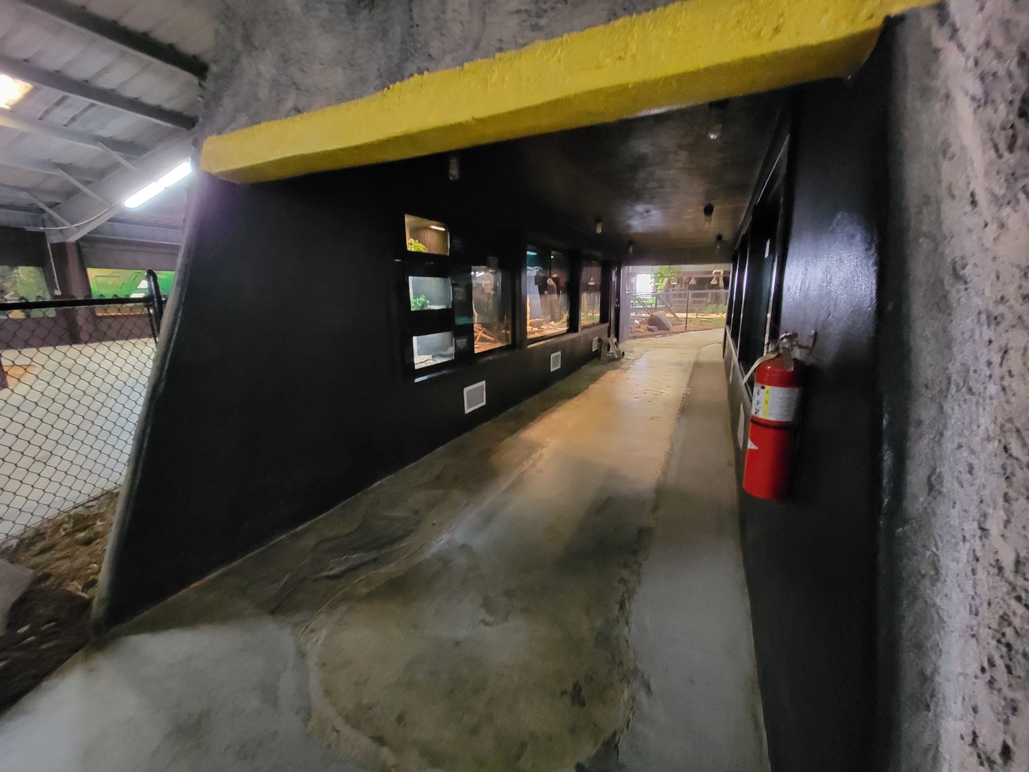 Reptile Lagoon, SOTB - First snake area