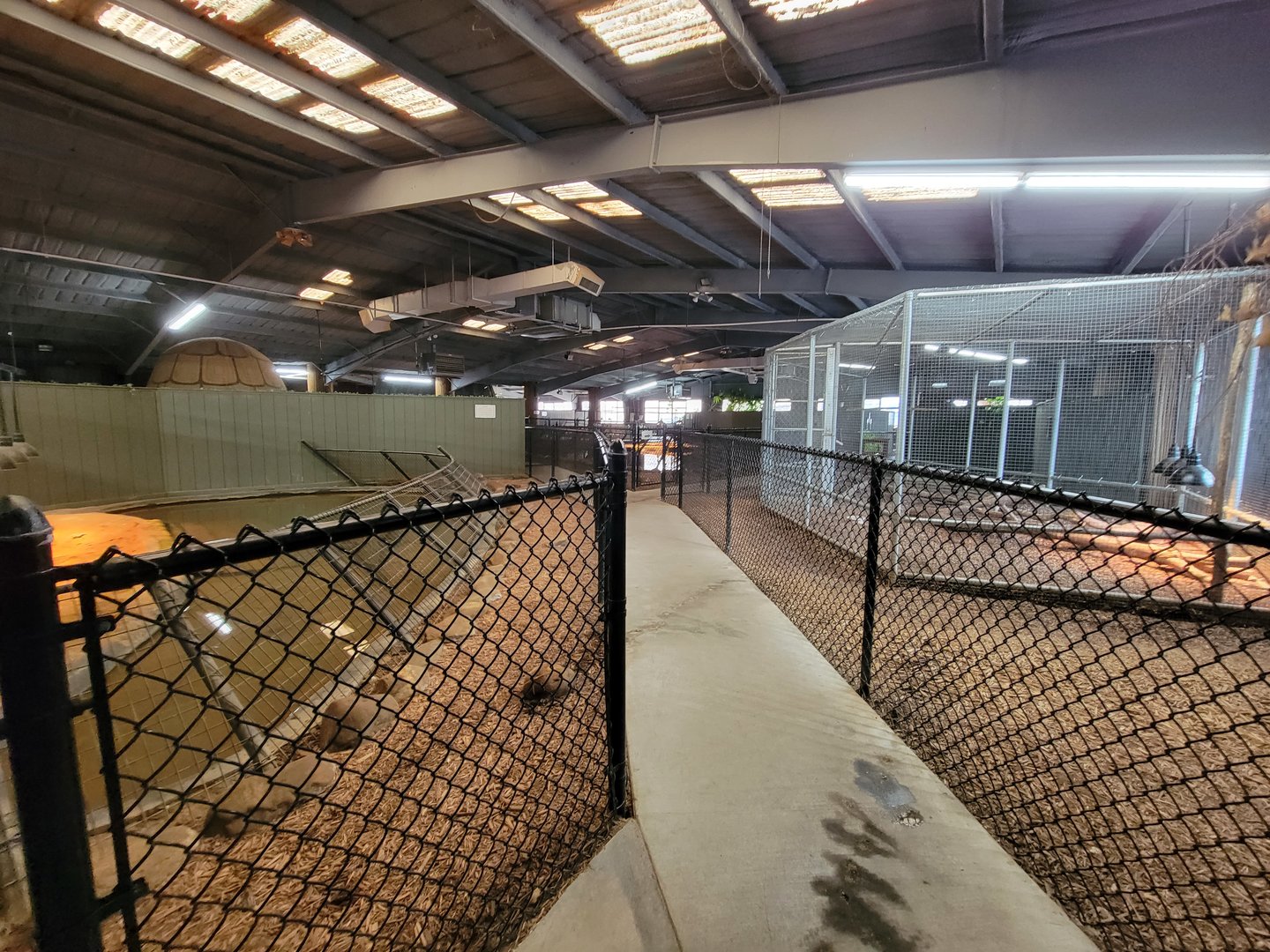 Reptile Lagoon, SOTB - Inside entrance door