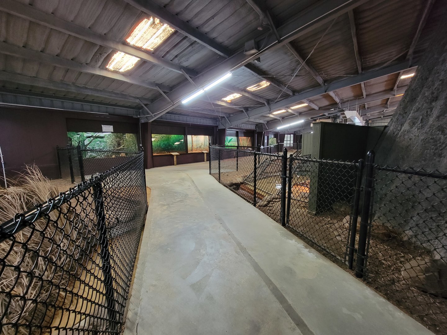 Reptile Lagoon, SOTB - Looking back at big snakes