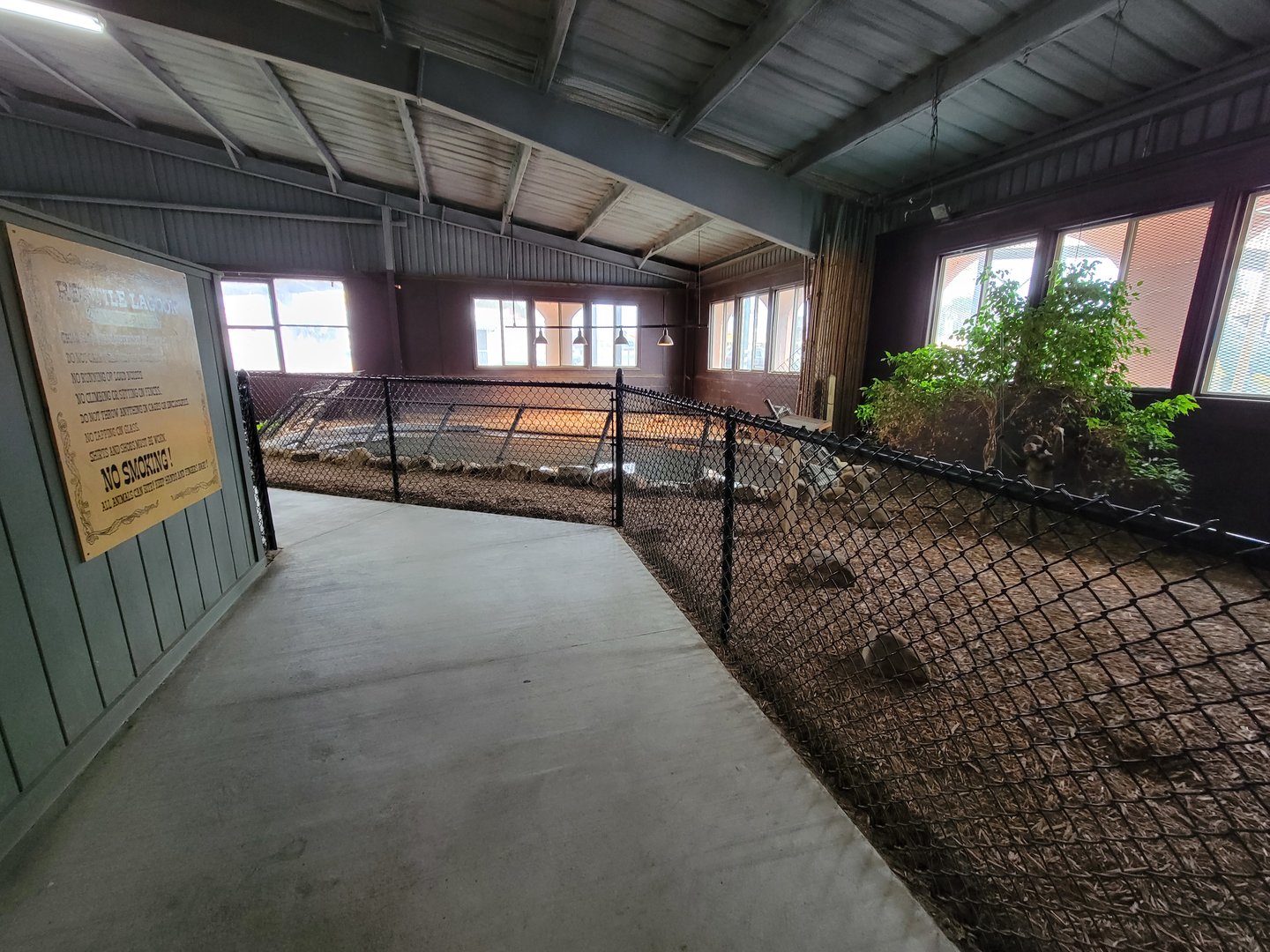 Reptile Lagoon, SOTB - Morelet's Crocodile