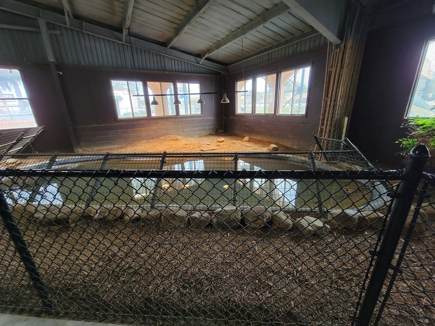 Reptile Lagoon, SOTB - Morelet's crocodile