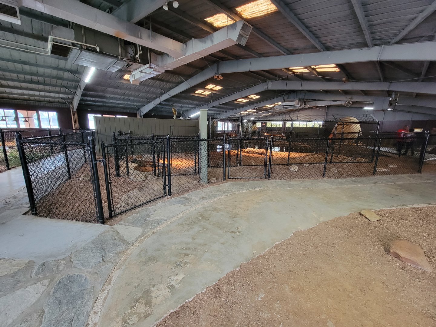 Reptile Lagoon, SOTB - Path, Nile and Nile x Cuban crocodiles