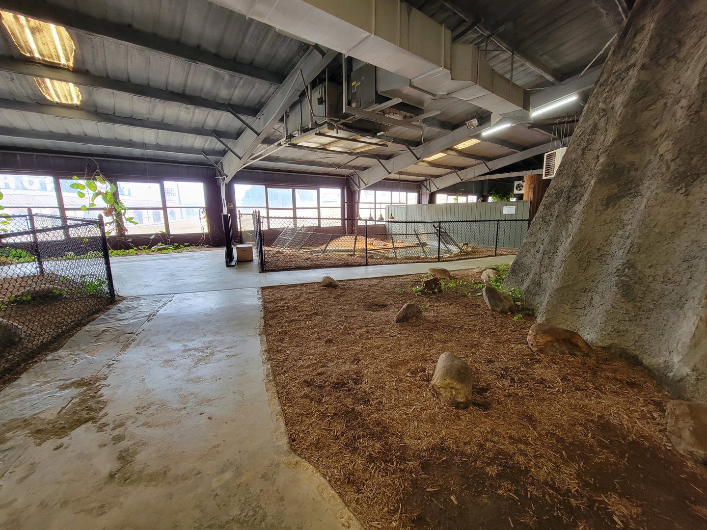 Reptile Lagoon, SOTB - Path