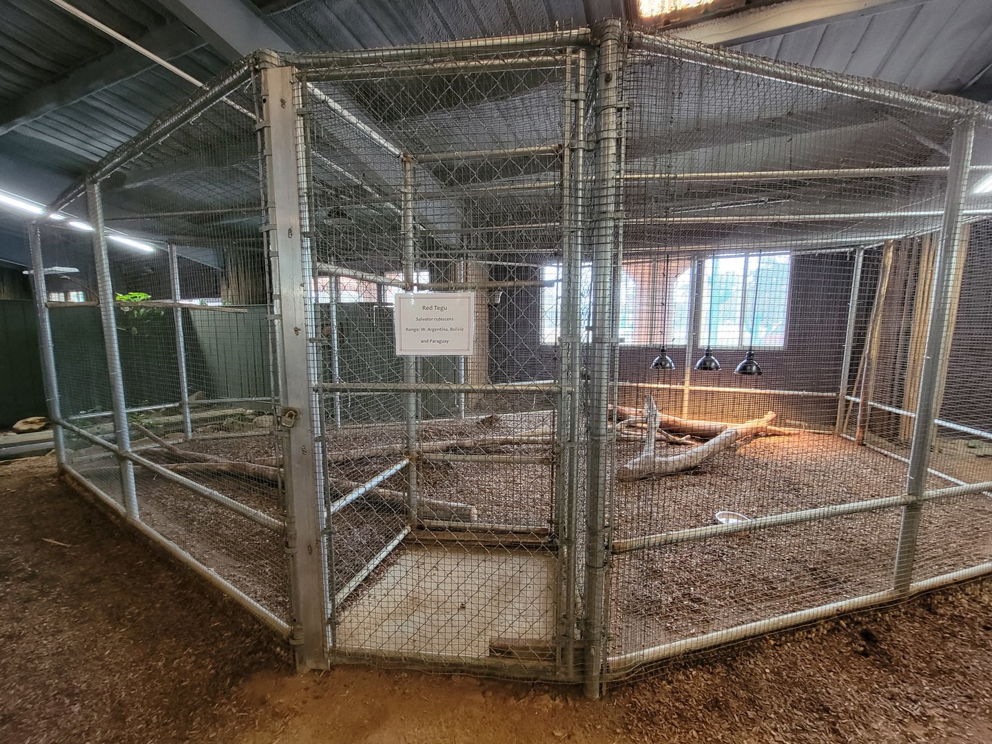 Reptile Lagoon, SOTB - Red tegu