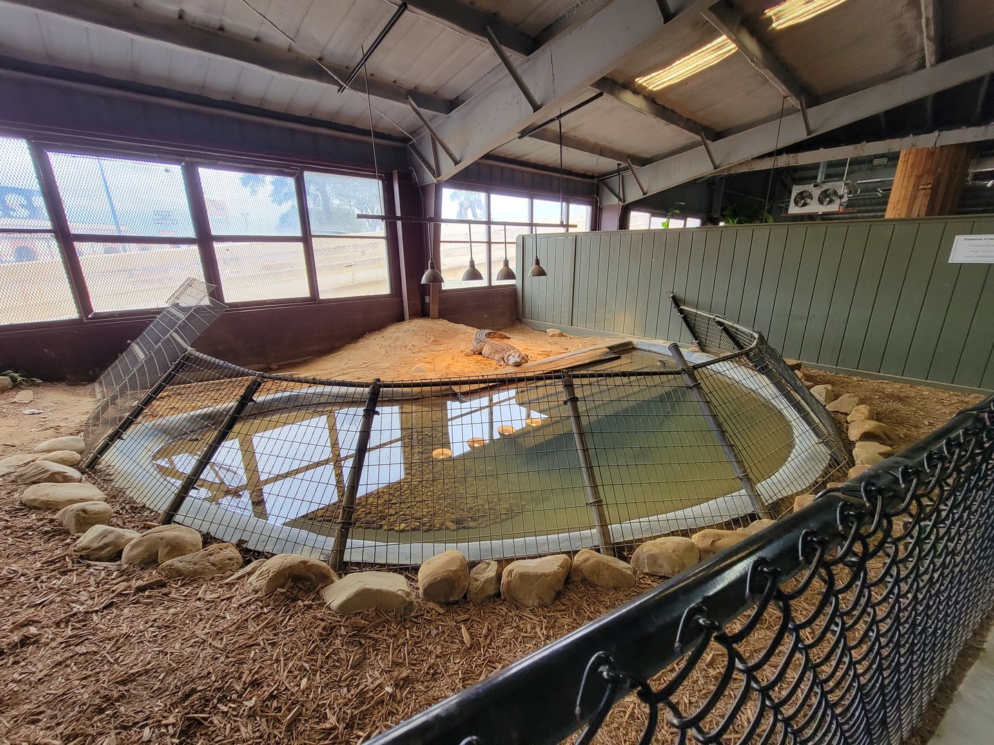 Reptile Lagoon, SOTB - Siamese crocodile