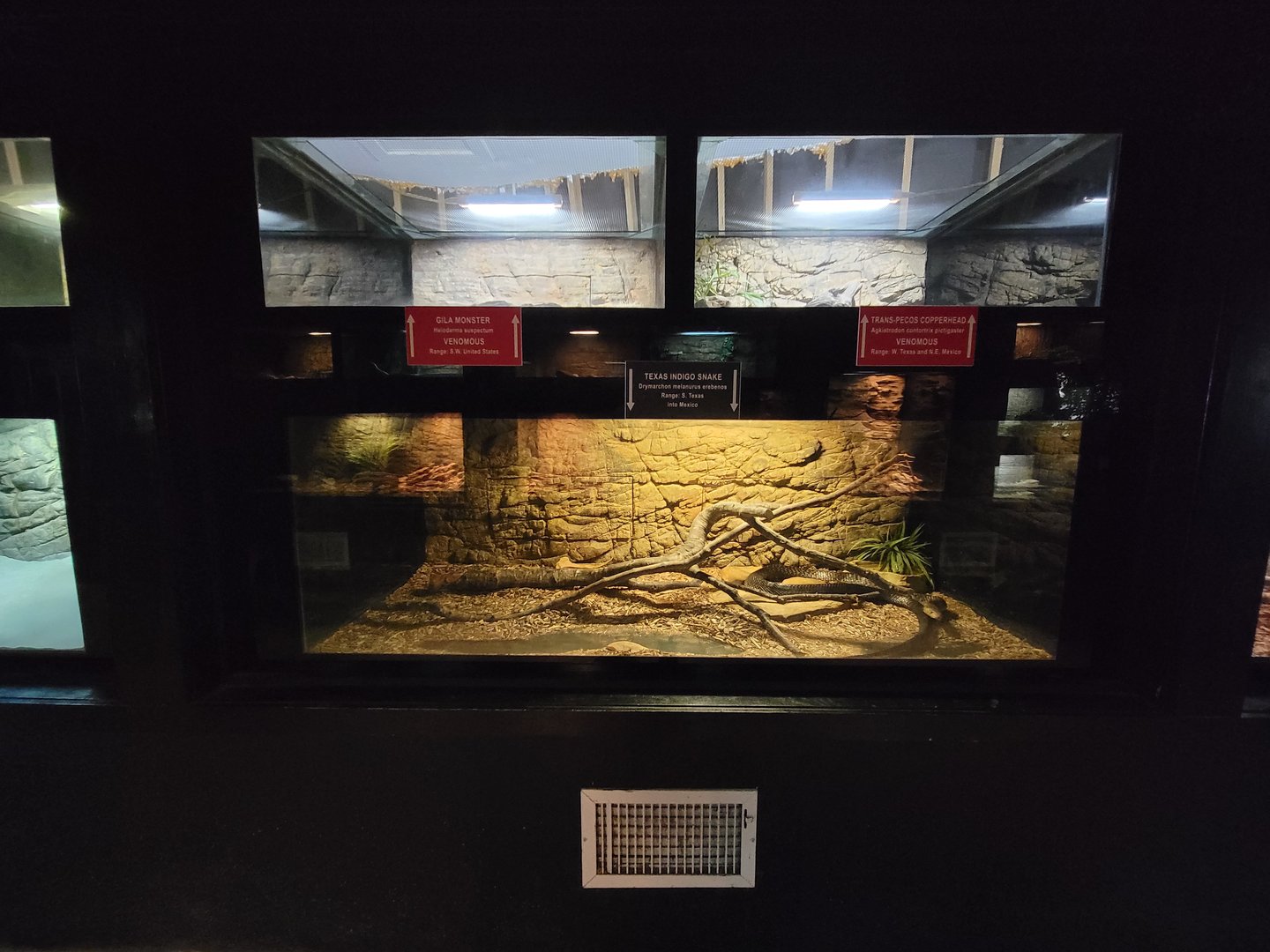 Reptile Lagoon, SOTB - Snake setup