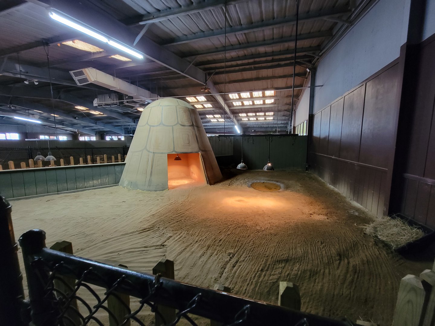 Reptile Lagoon, SOTB - Sulcata tortoise