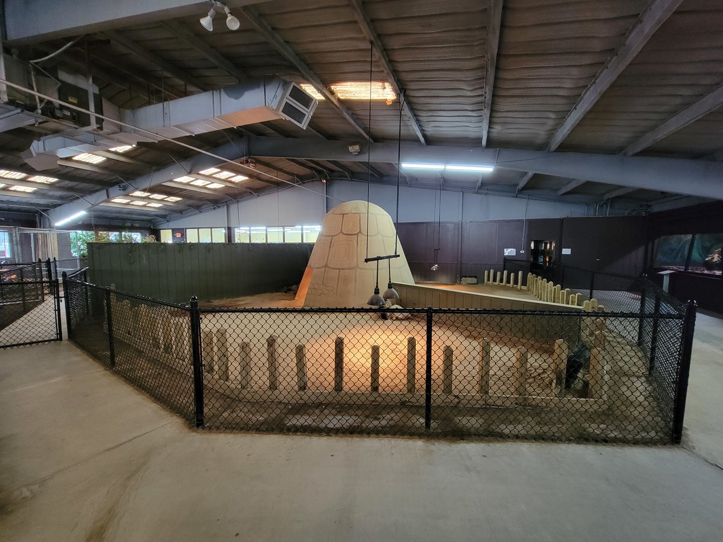 Reptile Lagoon, SOTB - Tortoises