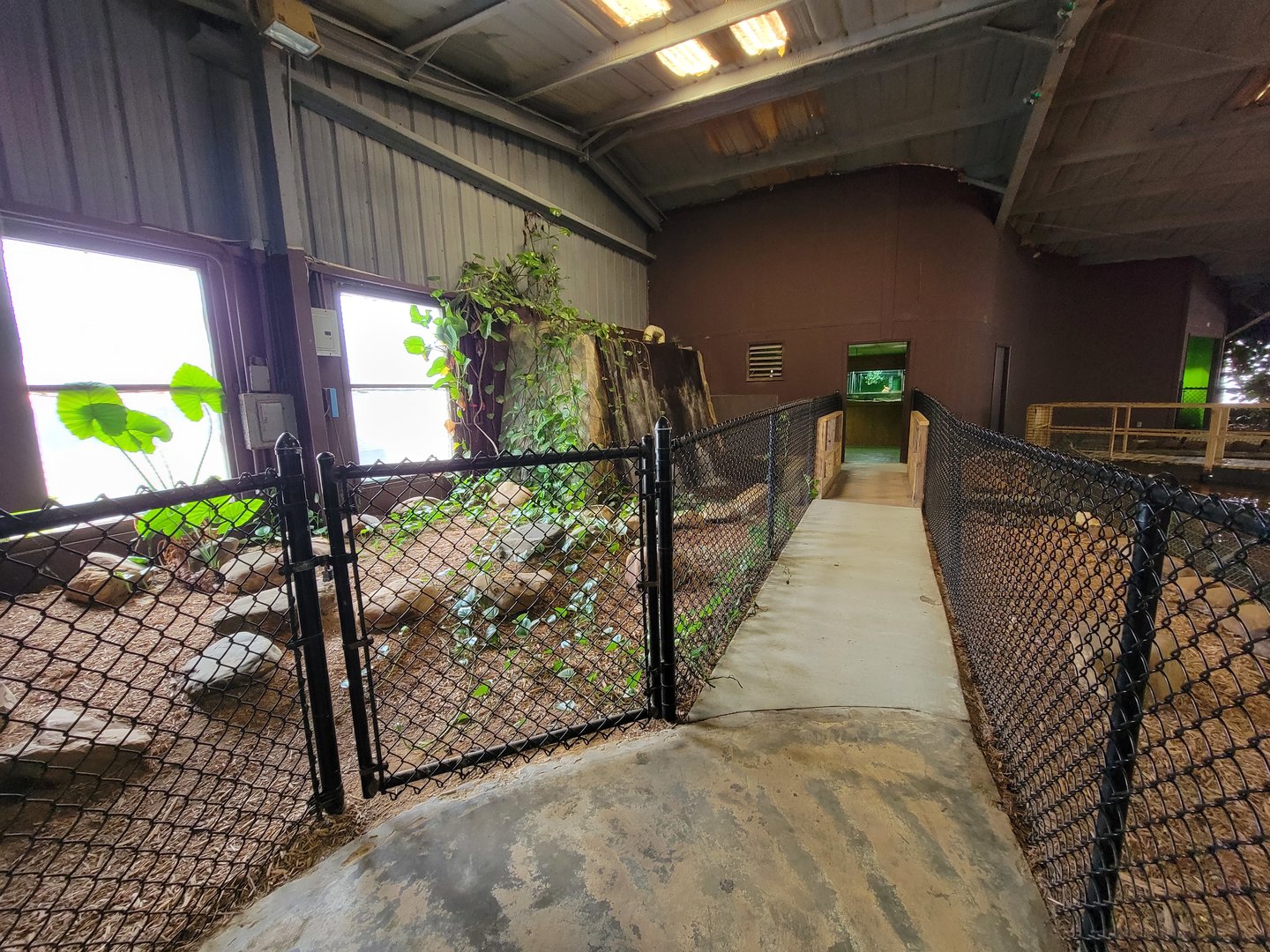 Reptile Lagoon, SOTB - Turtle room exit
