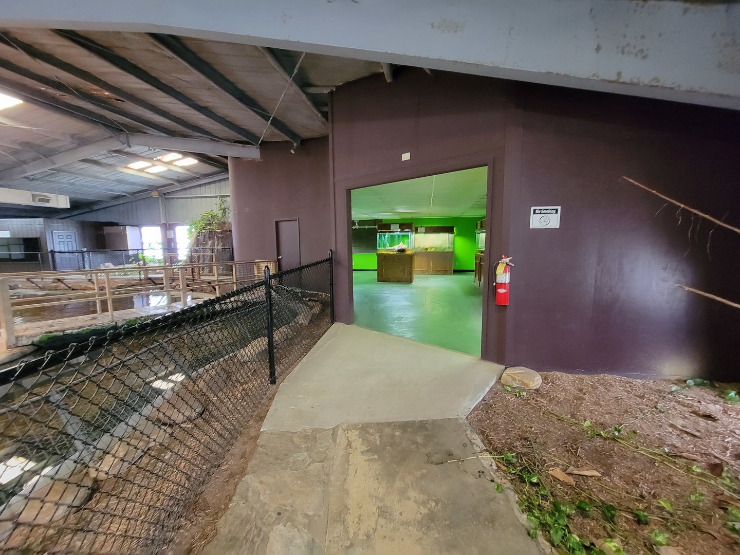 Reptile Lagoon, SOTB - Turtle room