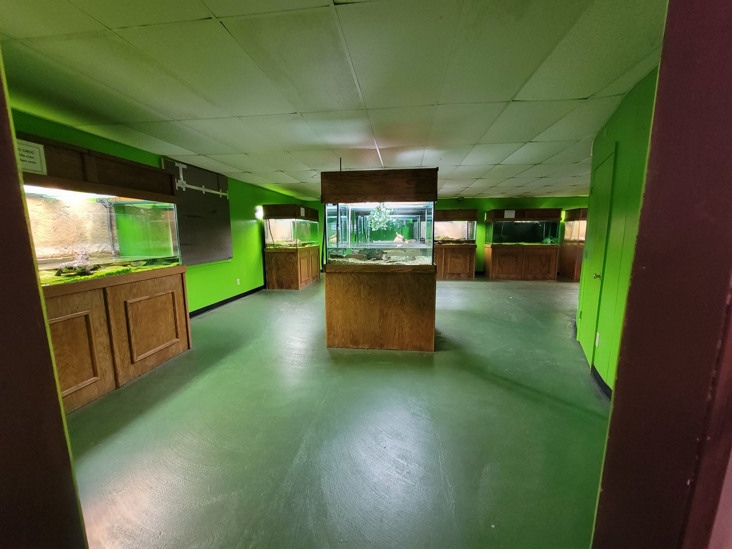 Reptile Lagoon, SOTB - Turtle room