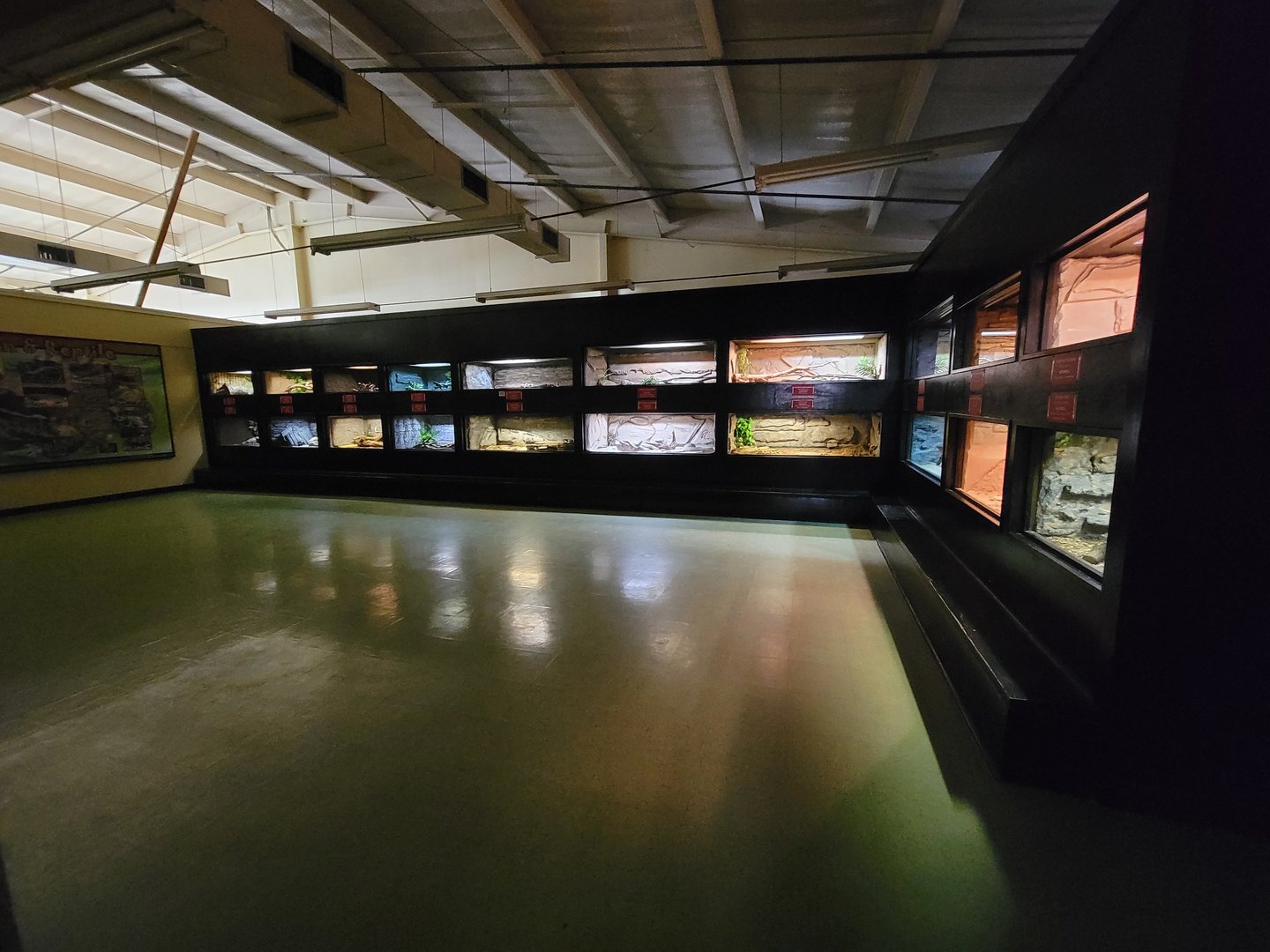 Reptile Lagoon, SOTB - Venomous snakes room