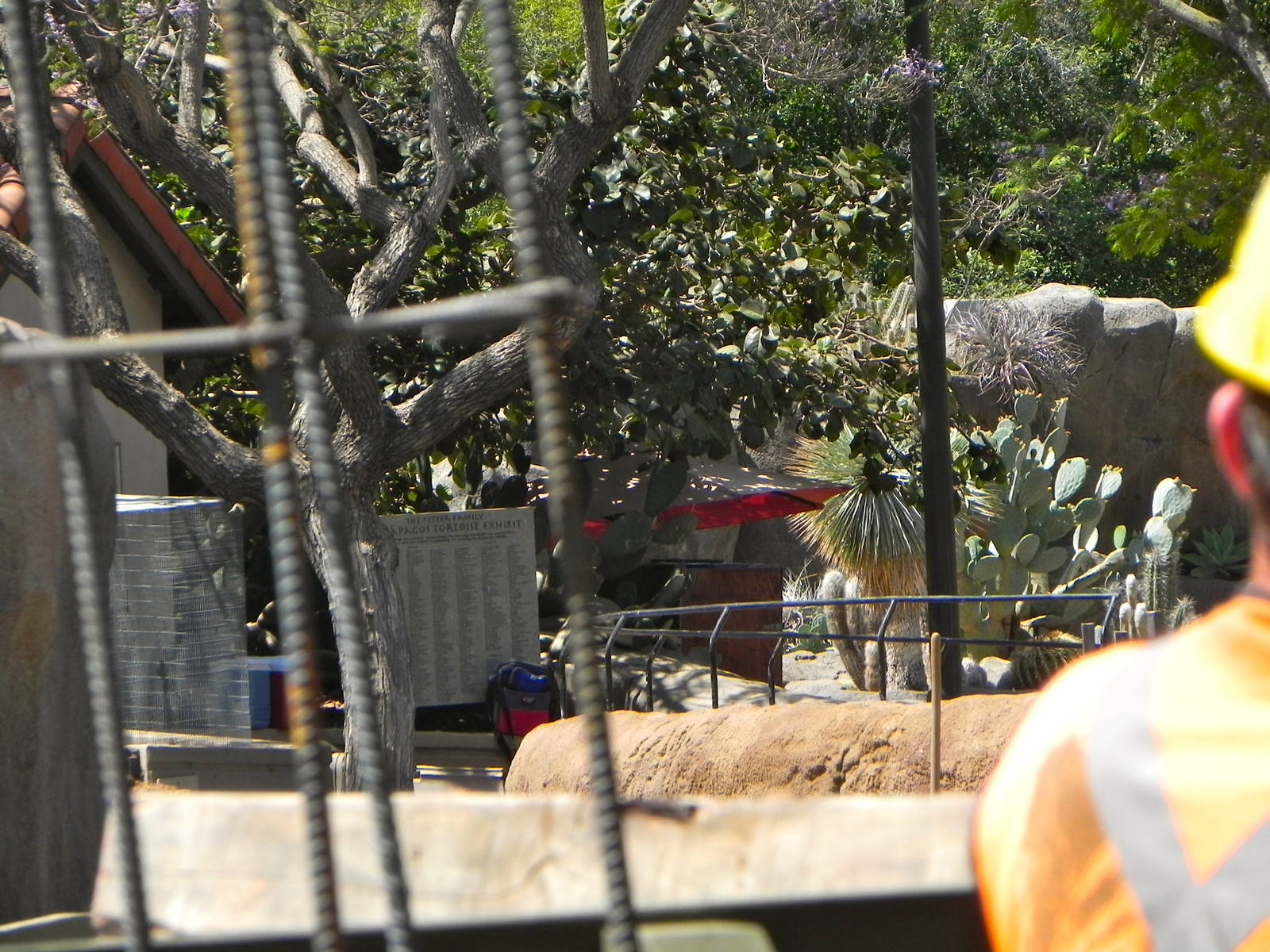 Reptile Mesa construction progress